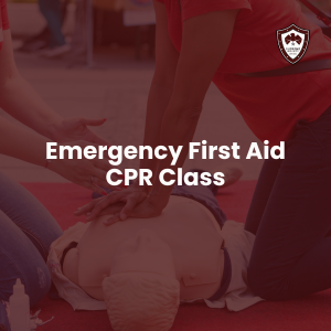 Emergency First Aid CPR/AED (Level C)